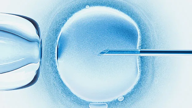 IVF pregnancy