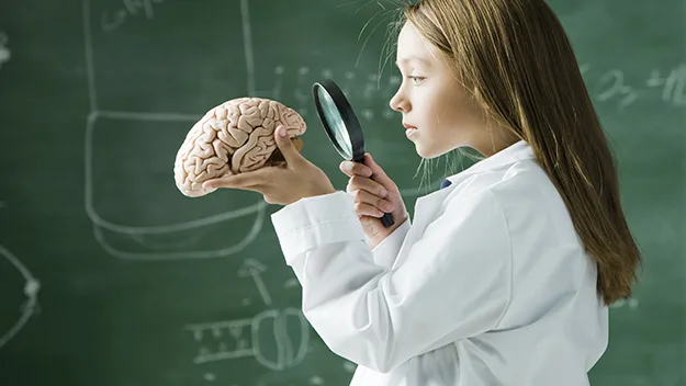 scientist with brain and magnifying glass, stock image