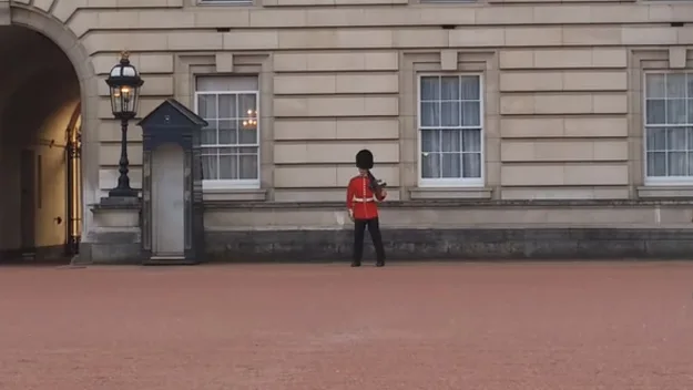 Buckingham Palace guard