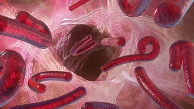 Illustration of Ebola virus particles swirling in a pink and red cellular environment.