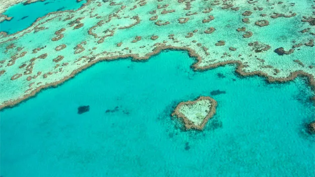 Heart Reef in the Whitsundays