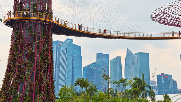 Singapore metal trees walk way