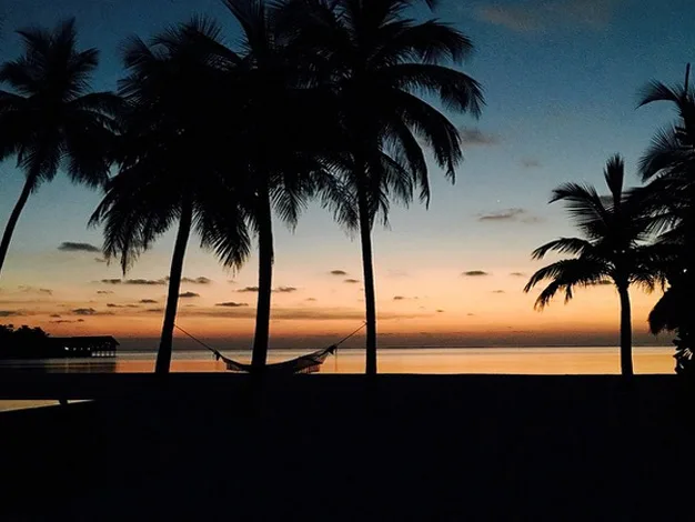 Tropical beach sunset with silhouetted palm trees and a hammock.
