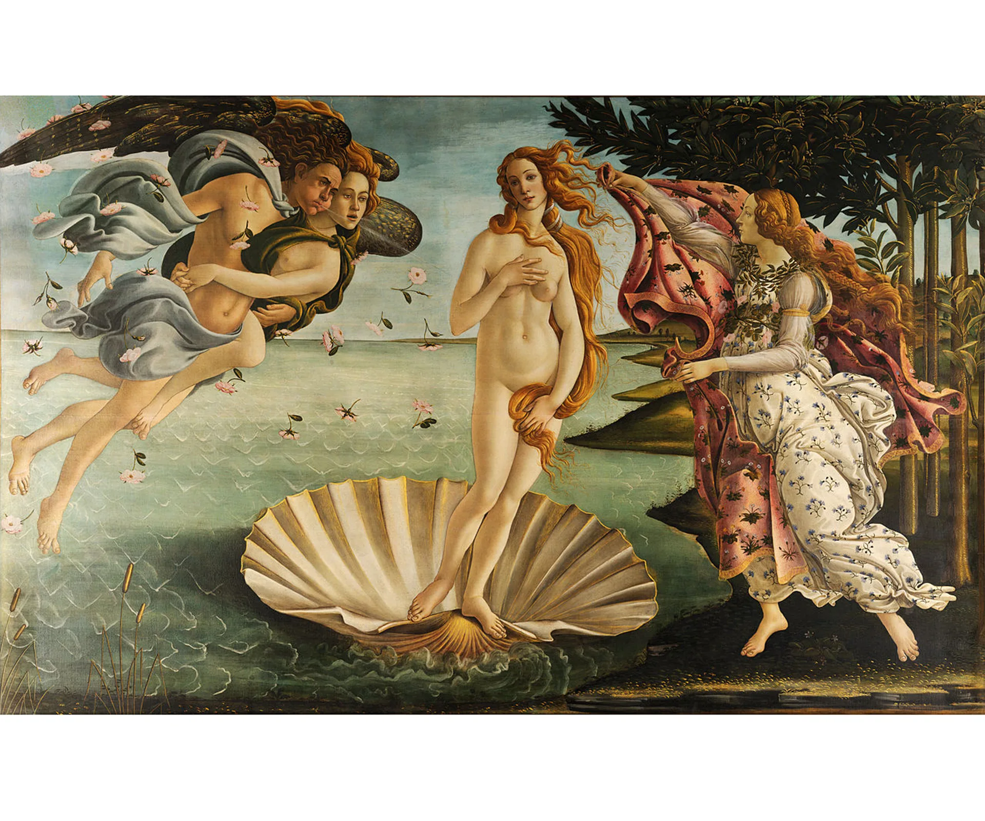 Venus the Roman Goddess of love as painted by Sandro Botticelli in 1486.