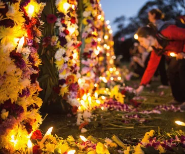 Why the Bali Nine is what we are talking about today