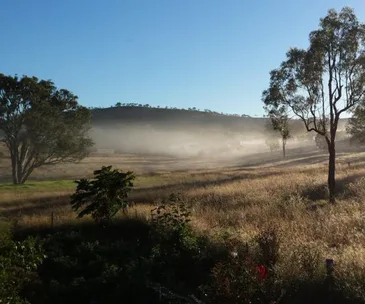 A foggy rural landscape in Australia with trees and hills in the background under a clear blue sky.