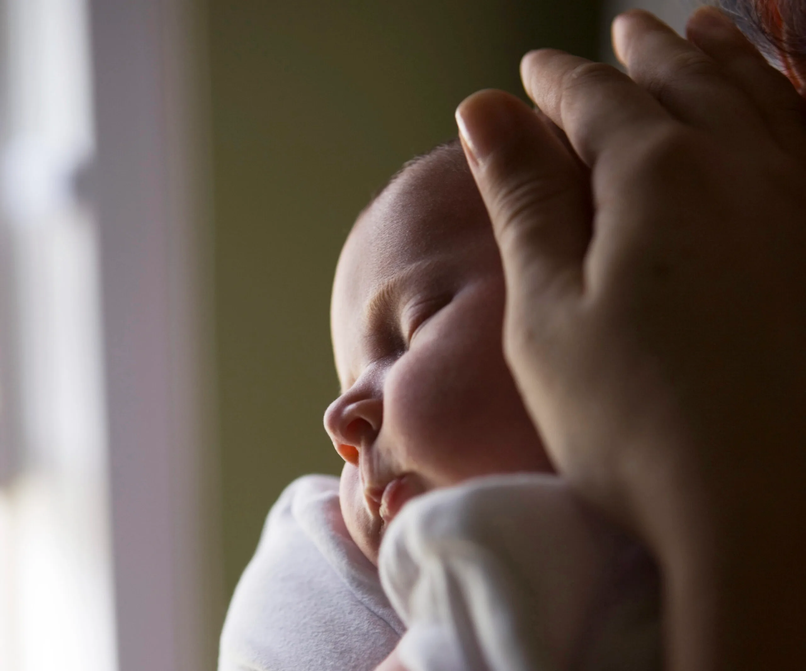 Close-up of a sleeping baby cradled in an adult's hands, soft light from a window highlighting their peaceful face.