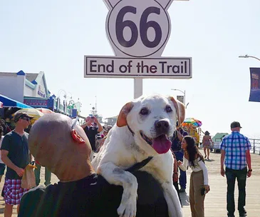 Man takes dying dog on trip of a lifetime
