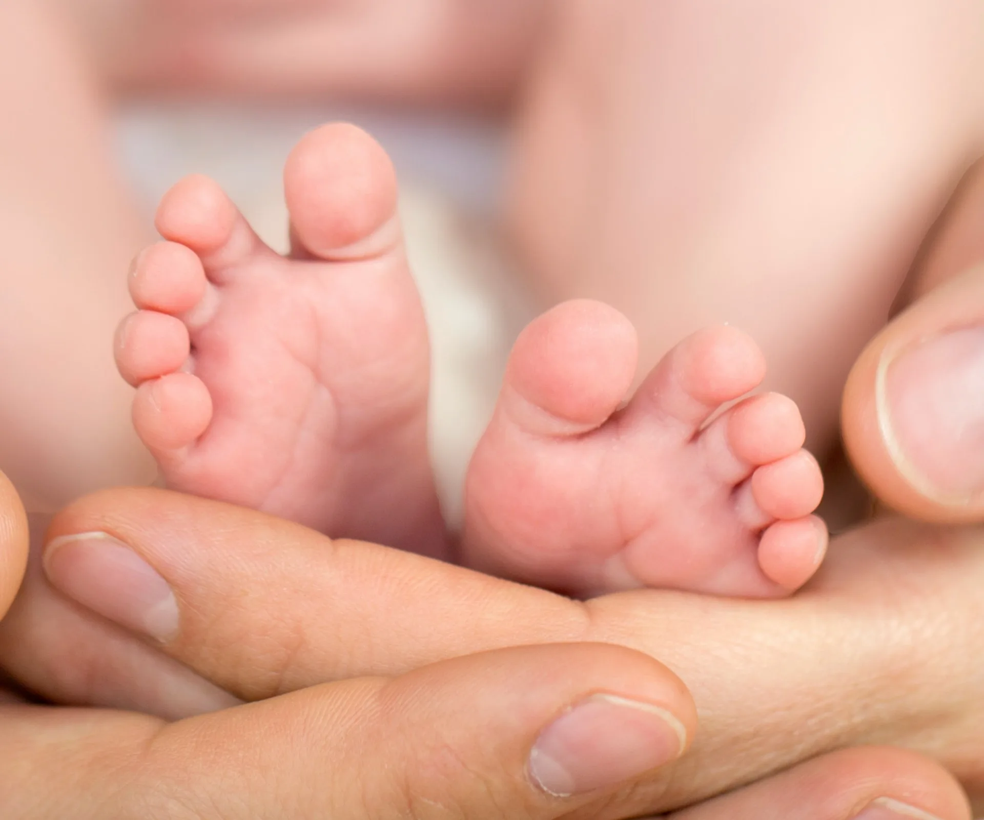 Baby feet held gently in adult hands.
