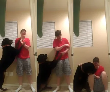 "Service dog comforts owner during a panic attack, showing affection and support."