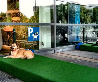 Dog relaxing on a green mat outside IKEA with a dog parking sign behind it.
