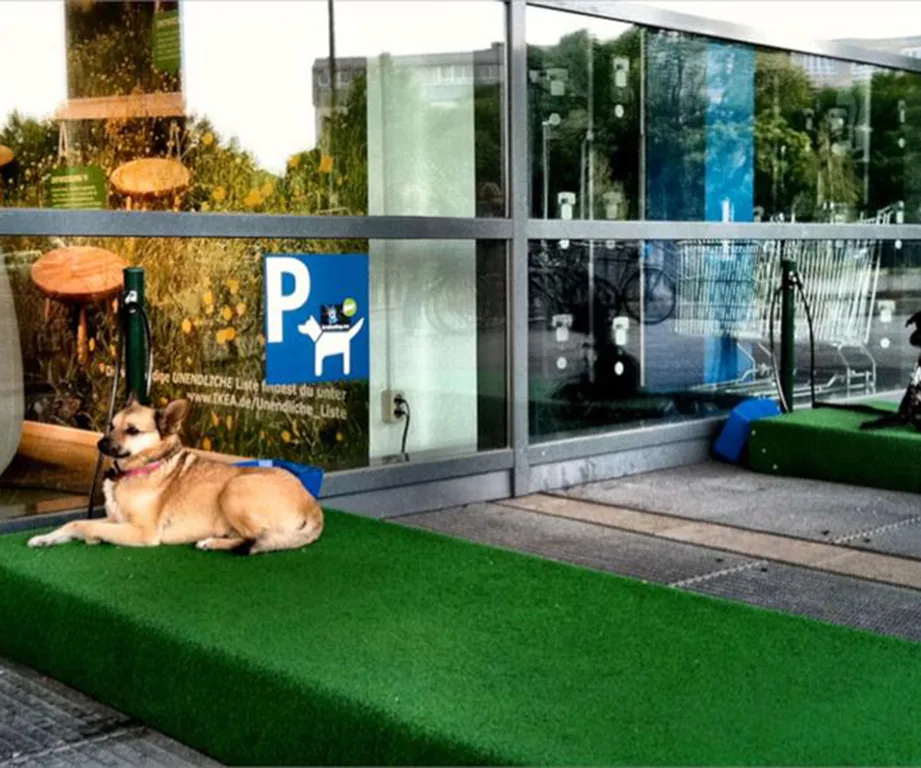 IKEA introduces dog parking spots