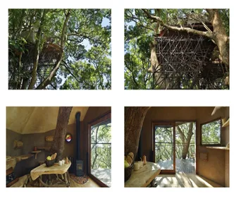 Japan's stunning tree house among lush green branches, featuring a wooden interior with a stove and patio.