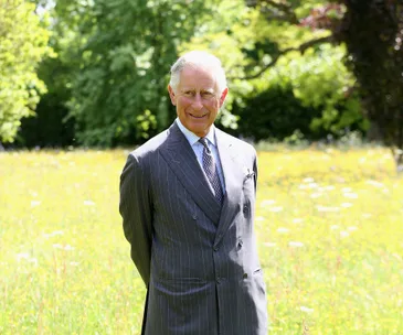 A man in a gray suit stands smiling in a sunny meadow with trees in the background.