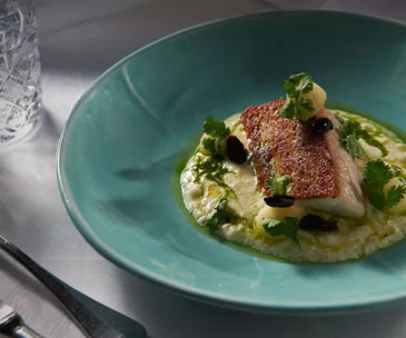 Grilled fish on a bed of risotto, garnished with herbs and olives in a blue plate.