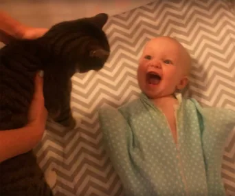 Baby in a teal onesie joyfully looks at a tabby cat held nearby on a chevron-patterned blanket.