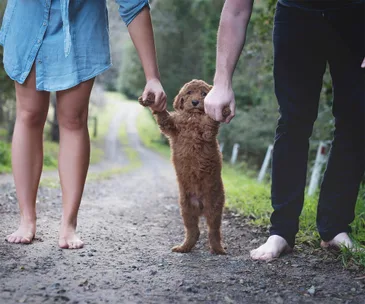 Family’s adorable “not quite newborn” photoshoot goes viral