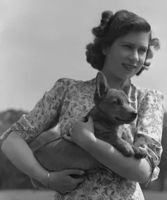 The Queen and her corgis