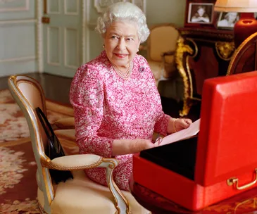 A person in a pink outfit sits at a desk with a red box, reading a document, in an elegantly decorated room.