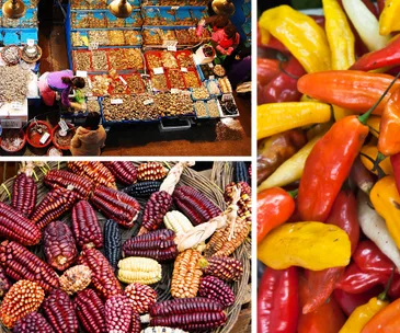 The taste of Peru