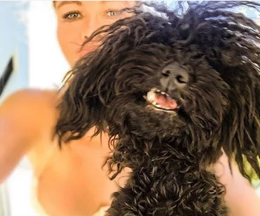 A woman holds a fluffy black dog up to the camera, both looking cheerful.