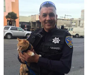 Cat saves suicidal mans life 