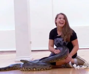 Bindi irwin with anaconda on dancing with the stars 
