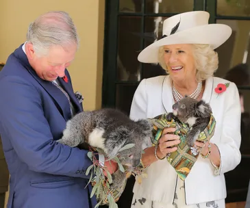Man in a suit and woman in a white outfit hold koalas at a public event.