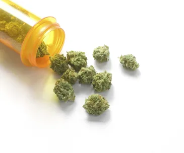 Prescription bottle spilling cannabis buds on white background.
