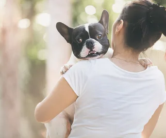 A woman in a white shirt holding a black and white French Bulldog outdoors, both looking content.
