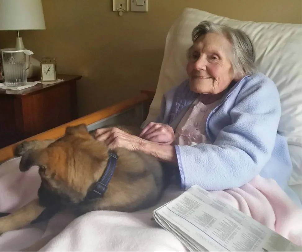 Elderly woman in bed with a joyful expression, petting a puppy resting on her lap.