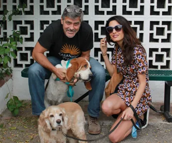 Couple kneeling with two dogs; one person in a star-pattern dress, the other in a black t-shirt.