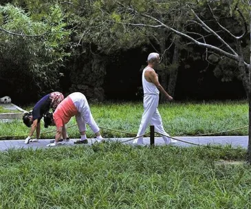 People engaged in physical activity, two are power crawling while one walks on a path in a green park setting.