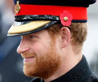 A man in military uniform with red and black hat, wearing a poppy flower, viewed in profile.