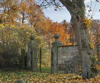 A garden with an iron gate, stone wall, and large tree in autumn with colorful leaves.
