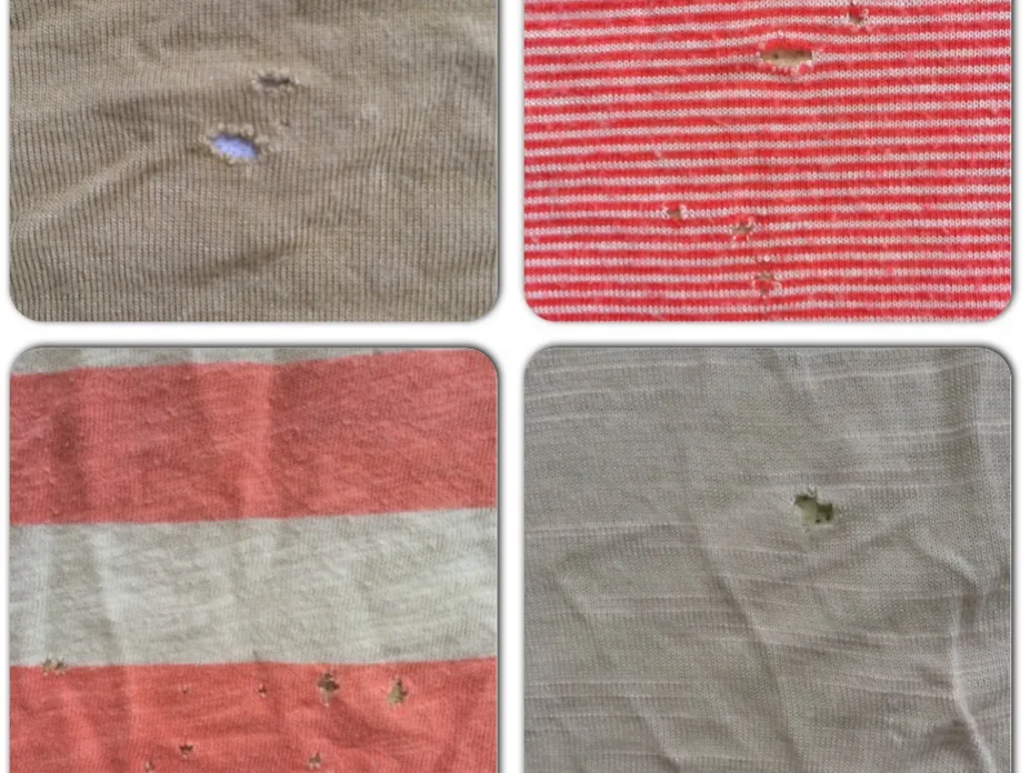 mysterious holes in t shirts