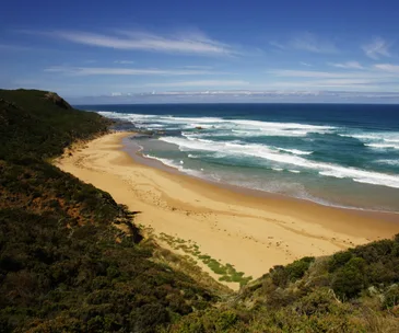 How to stay safe during the heatwave