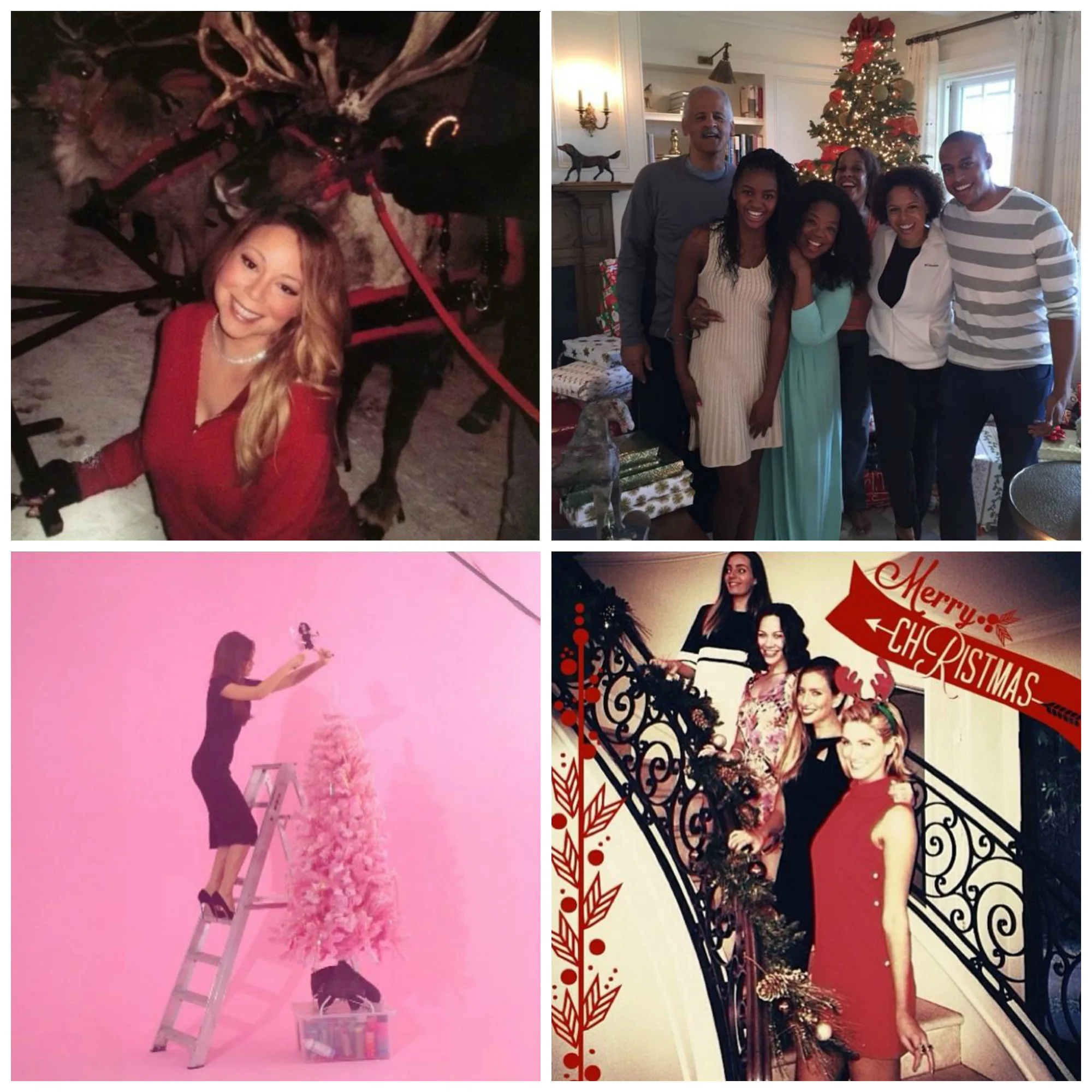 "Collage of people celebrating Christmas with reindeer, family by a tree, decorating a pink tree, and posing on stairs."