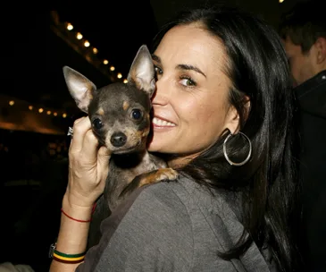 A woman smiling while holding a small Chihuahua in a well-lit room.