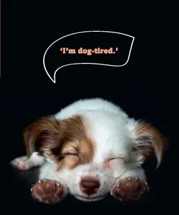 A sleepy puppy lies on a dark background with a speech bubble saying, "I'm dog-tired."