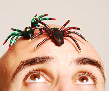 "Two colorful plastic spiders on a man's bald head, eyes looking up."