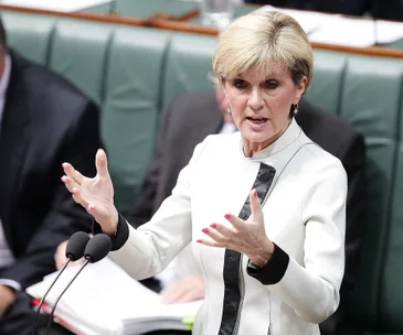 Julie Bishop under fire for $30,000 flight