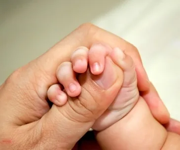 Adult hand holding a baby's hand gently, symbolizing care and protection.
