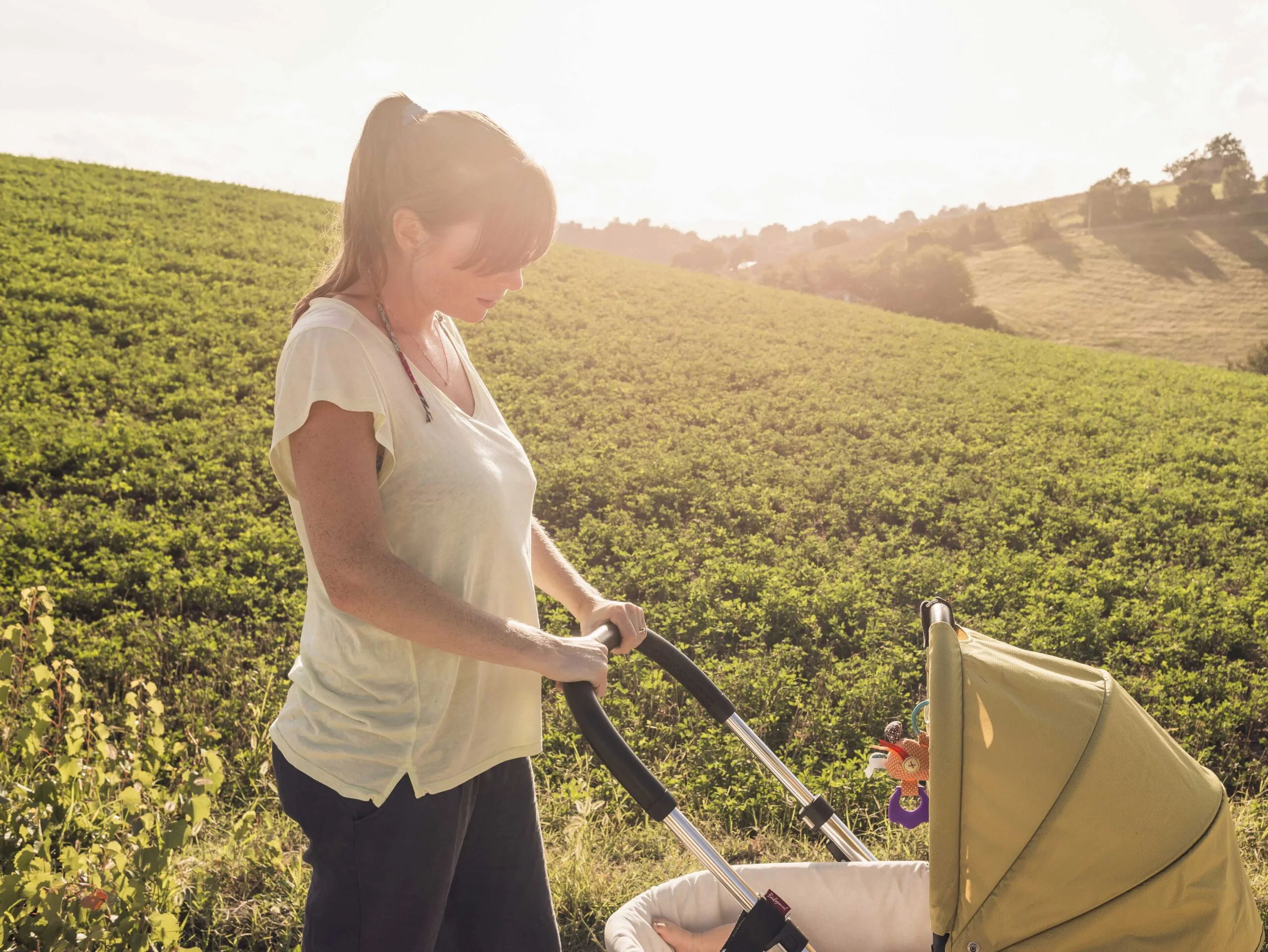 Top 10 prams of 2014