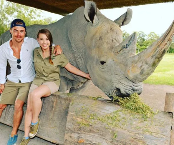 A couple poses with a large rhino, smiling at the camera, in an outdoor setting with greenery.
