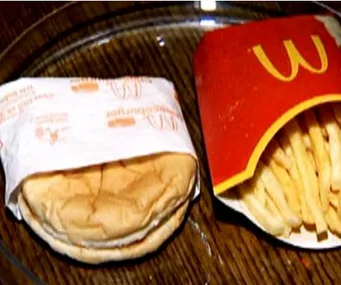 A six-year-old McDonald's burger and fries appear unspoiled on a plate.
