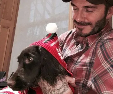 Man in plaid shirt smiles at a dog wearing a festive red hat with a white pom-pom.