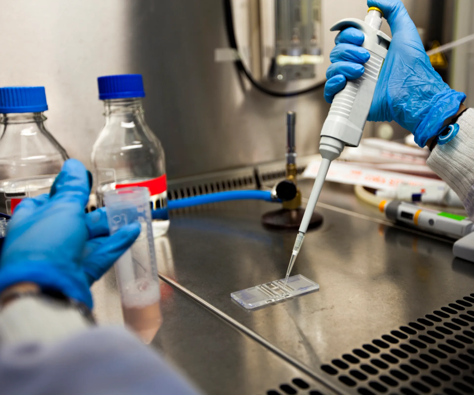 Lab technician uses a pipette in a scientific research setting, with blue gloves and lab equipment visible.