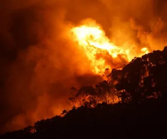 Bushfire blazing through dense forest at night, casting an intense orange glow on the smoke-filled sky.