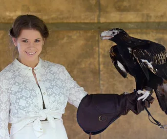 A person in a white outfit smiling, holding a bird of prey on a gloved arm against a neutral background.
